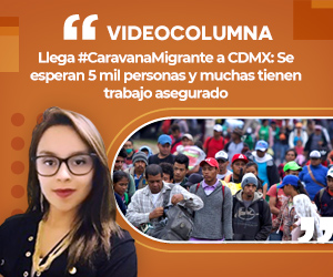 Videocolumna